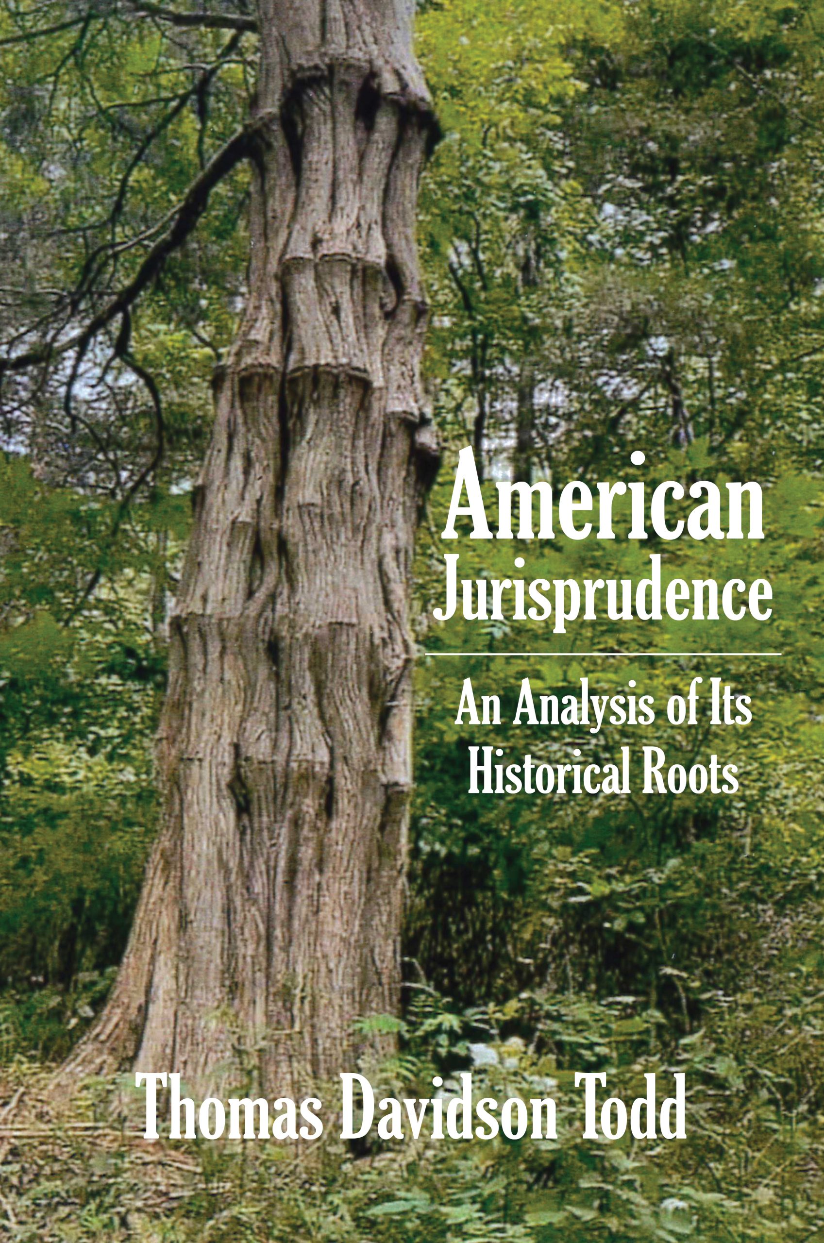 American Jurisprudence: An Analysis of Its Historical Roots featured image
